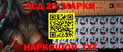 СК Кандалакша