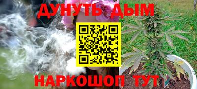 дживик Камышлов